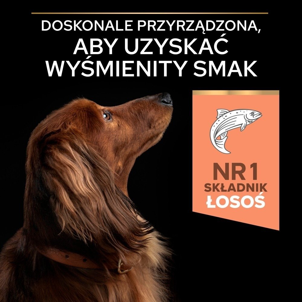 Karma dla psa Purina Pro Plan Small & Mini Sensitive Skin Adult z łososiem 7 kg