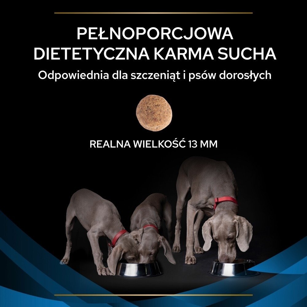 Karma dla psa Purina Pro Plan Veterinary Diets Canine DRM Dermatosis 3 kg