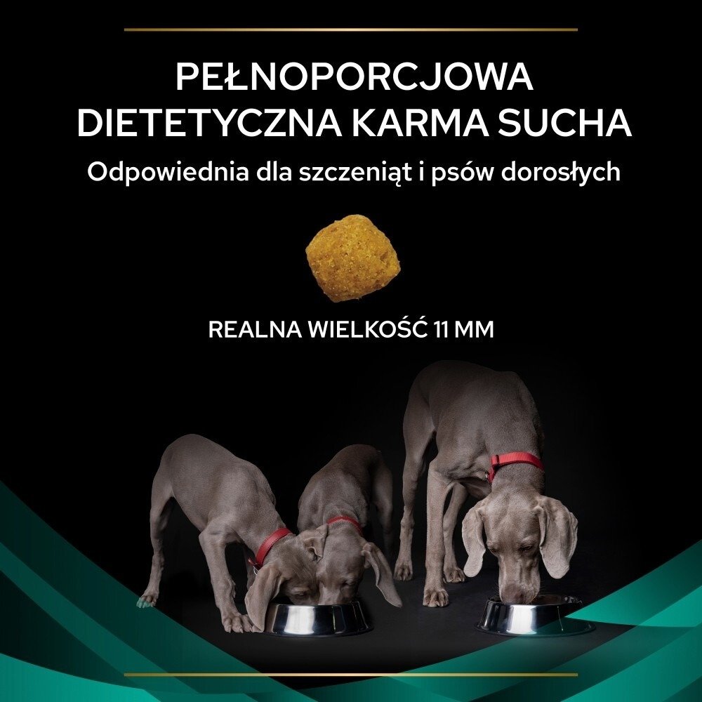 Karma dla psa Purina Pro Plan Veterinary Diets Canine EN Gastrointestinal 1,5 kg