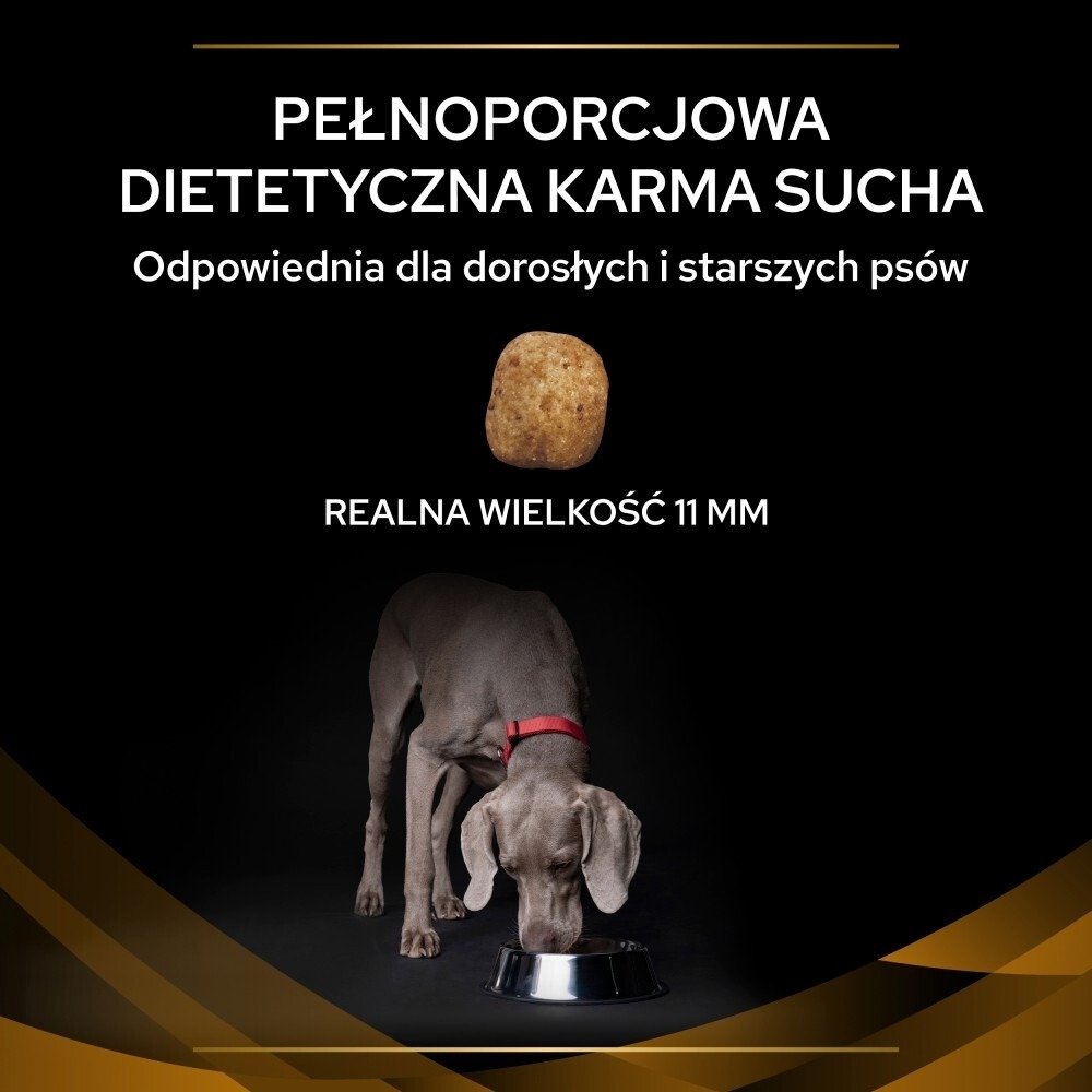 Karma dla psa Purina Pro Plan Veterinary Diets Canine NF Renal Function 12 kg