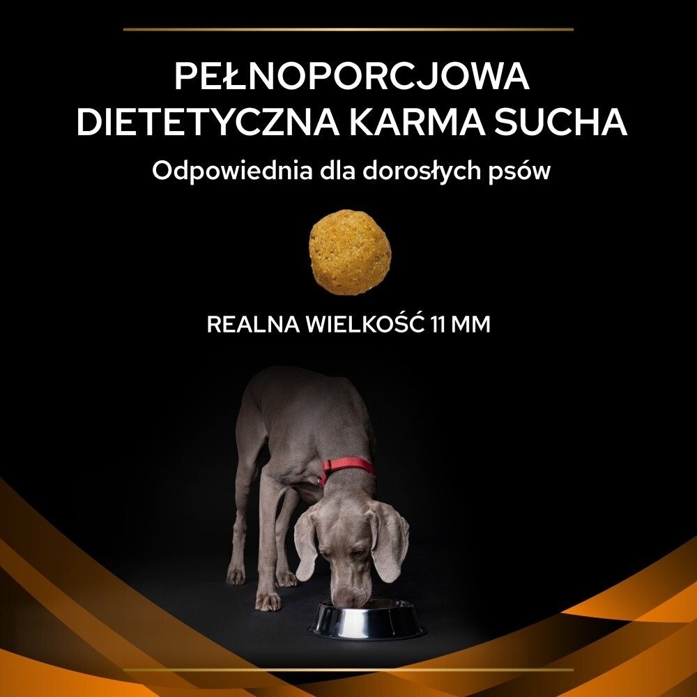 Karma dla psa Purina Pro Plan Veterinary Diets Canine OM Obesity Management 12 kg