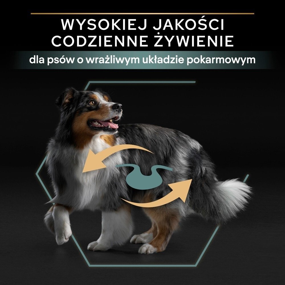 Karma dla psów Pro Plan Sensitive Digestion Medium Adult bogata w jagnięcinę 16,5 kg