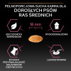 Karma dla psów Pro Plan Sensitive Skin Medium Adult bogata w łososia 16,5 kg