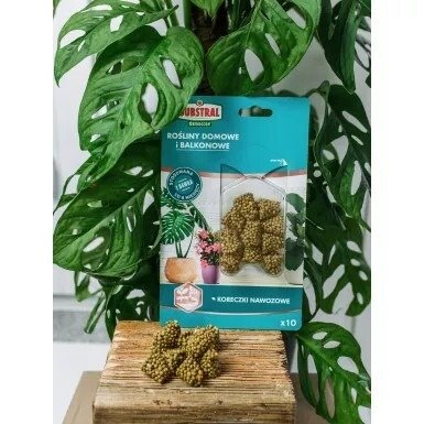 Koreczki nawozowe rośliny domowe i balkonowe Substral Osmocote (10 sztuk) x 3 opakowania