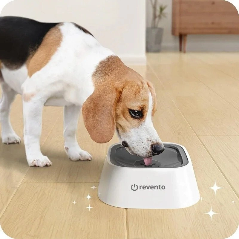 Pies pije z miski pływającej Revento