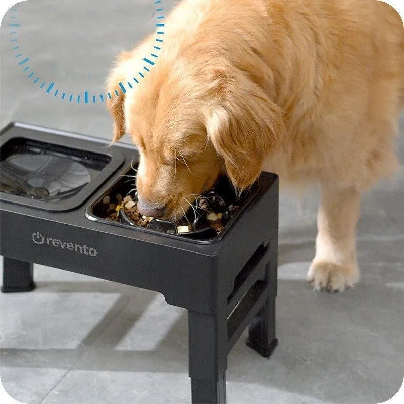 Miska dla psa ze stojakiem Revento