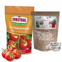 Nawóz do pomidorów Substral Magiczna Siła 350 g + Zapinka biodegradowalna Sumin 23 mm (50 sztuk)