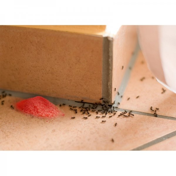 Proszek na mrówki Max Vaco 1 kg