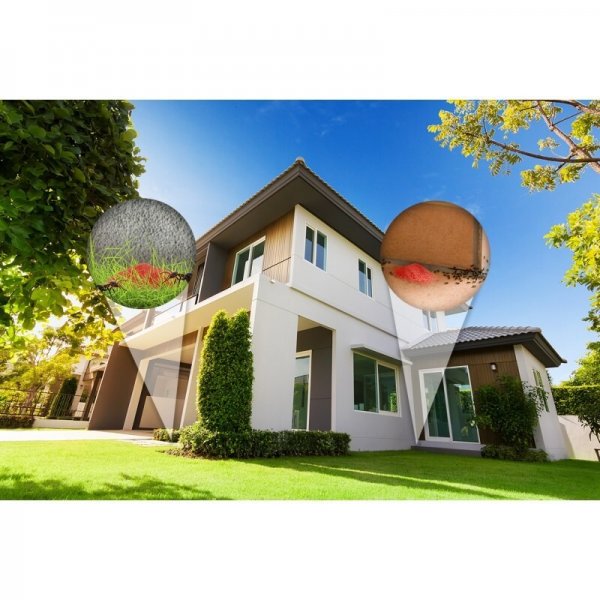 Proszek na mrówki Max Vaco 3 kg