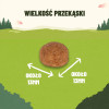 Przysmaki dla psa Purina Adventuros Training  Bogate w dziczyznę 6x115 g