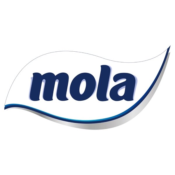 Ręczniki papierowe Mola Extra Mocne (2 rolki) x 10 sztuk
