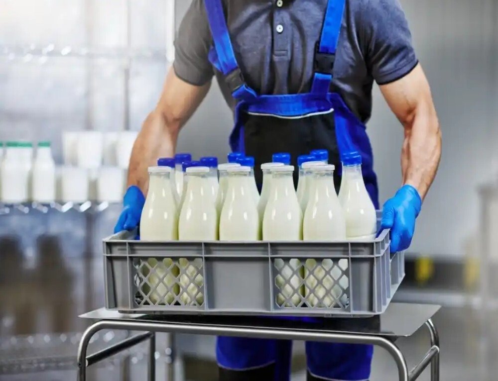 Rękawice nitrylowe, bezpudrowe Mercator gogrip niebieskie rozmiar L (50 sztuk)