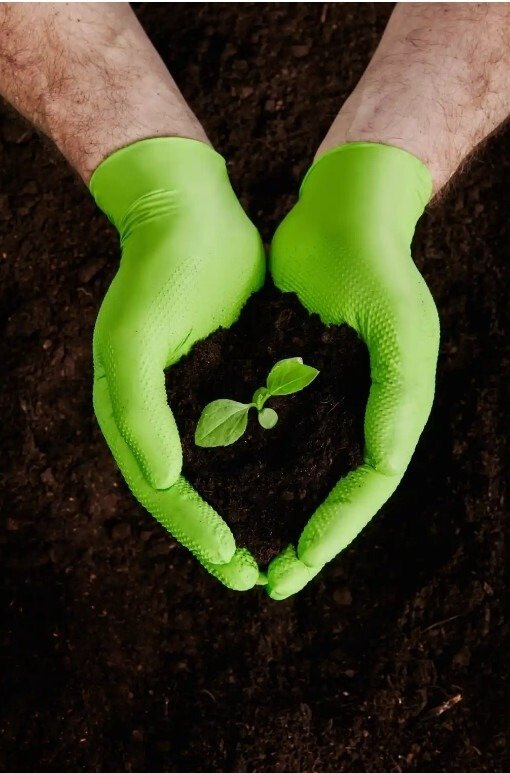 Rękawice nitrylowe, bezpudrowe Mercator gogrip zielone rozmiar XL (50 sztuk)