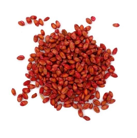 Ziarno na gryzonie Vaco Profesional 1 kg x 2 sztuki